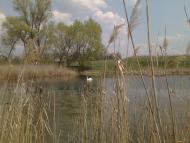 Степанівка з panoramio.com