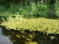 Слиньків Яр з panoramio.com