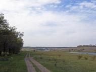 Стародобровільське з panoramio.com