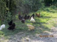 Лази з panoramio.com