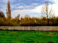 Ківшовата з panoramio.com