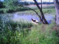 Засулля з panoramio.com