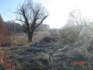 Добротимофіївка з panoramio.com