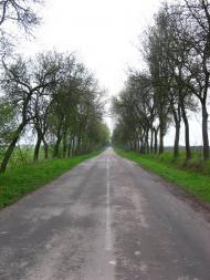 Клопіт з panoramio.com