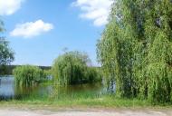 Райки з panoramio.com