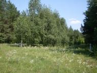 Терлиця з panoramio.com