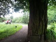 Великі Глібовичі з panoramio.com