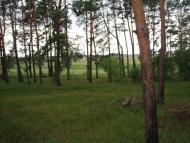 Віленька з panoramio.com