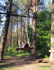 Грядки з panoramio.com