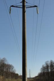 Веснянка з panoramio.com