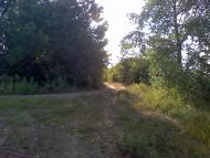 Лизогубівка з panoramio.com