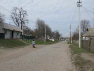 Нова Осота з panoramio.com