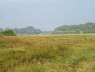 Пирогівка з panoramio.com