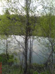 Марчихина Буда з panoramio.com