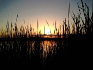 Роїще з panoramio.com