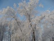 Сєверне з panoramio.com