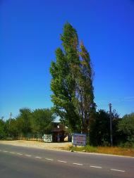 Полюшко з panoramio.com