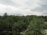 Під'язівні з panoramio.com