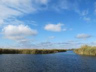 Дніпровське з panoramio.com