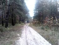 Тарасенки з panoramio.com - Тарасенки