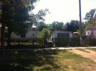 Дрофине з panoramio.com