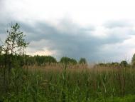 Приліпка - Останні фото