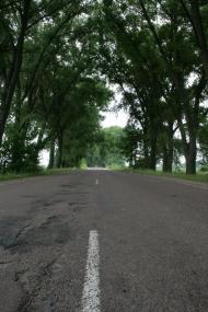 Клітчин - Останні фото