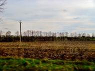 Хижинці з panoramio.com