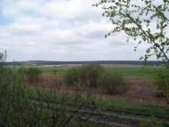 Вишняки з panoramio.com - Вишняки