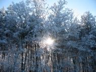 Нова Січ з panoramio.com