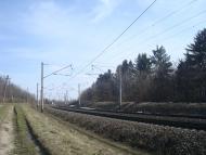 Радівці з panoramio.com