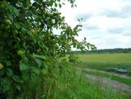 Новофастів з panoramio.com