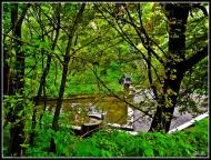 Олександрія з panoramio.com