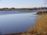 Червона Нива з panoramio.com