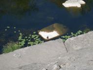 Калмазове з panoramio.com