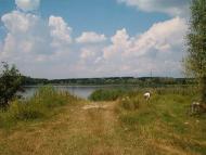 Барвінкове з panoramio.com