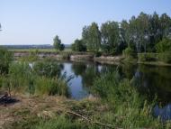 Прилужжя з panoramio.com
