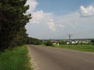Лісопотік з panoramio.com