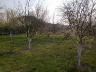 Ставки з panoramio.com