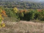 Покутине з panoramio.com