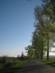 Бриків з panoramio.com