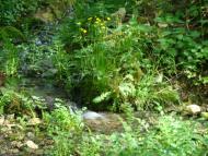 Романівка з panoramio.com