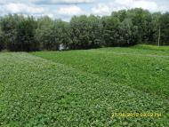 Пахутинці з panoramio.com