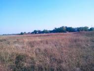 Островського з panoramio.com