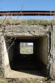 Веснянка з panoramio.com