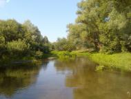 Пирогівка з panoramio.com