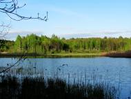 Гута-Ткачова з panoramio.com