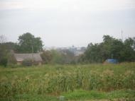 Бережне з panoramio.com