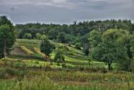 Краснопілка з panoramio.com - Краснопілка