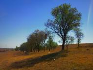 Табачне з panoramio.com